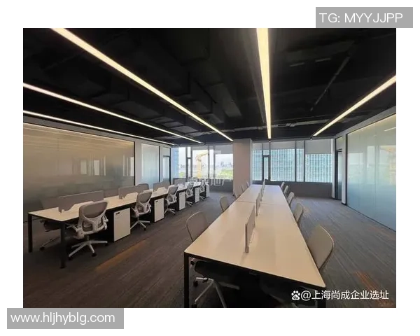 深圳飞盘队的运营体系与战术创新探索之路 深圳飞盘队的运营体系与战术创新探索之路